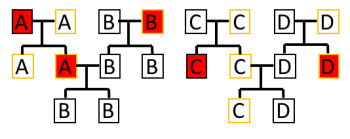 Figure 3: Sex chromosomes in a fictional population. The black outline indicates Y chromosome whereas the yellow indicates mitochondrial DNA. Red squares indicate extinct lineages at this particular point (Authors own). 